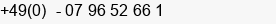 Telefon