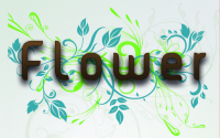 Logo FLOWER - Yoga & Pilates Studio