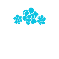 Logo FlowersDeluxe Einzelunternehmen