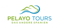 Logo Pelayo Tours